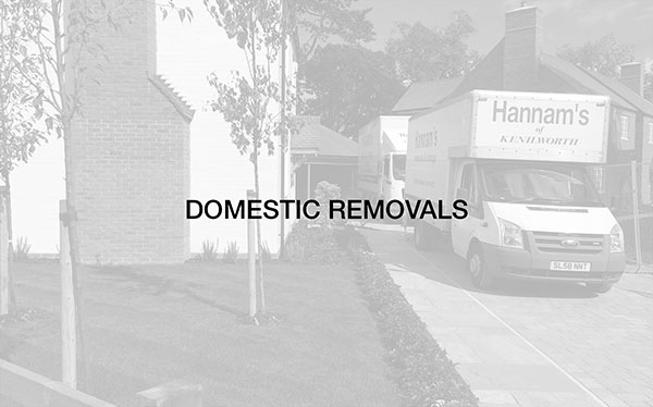 Domestic Removals